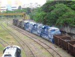 RUMO 9593